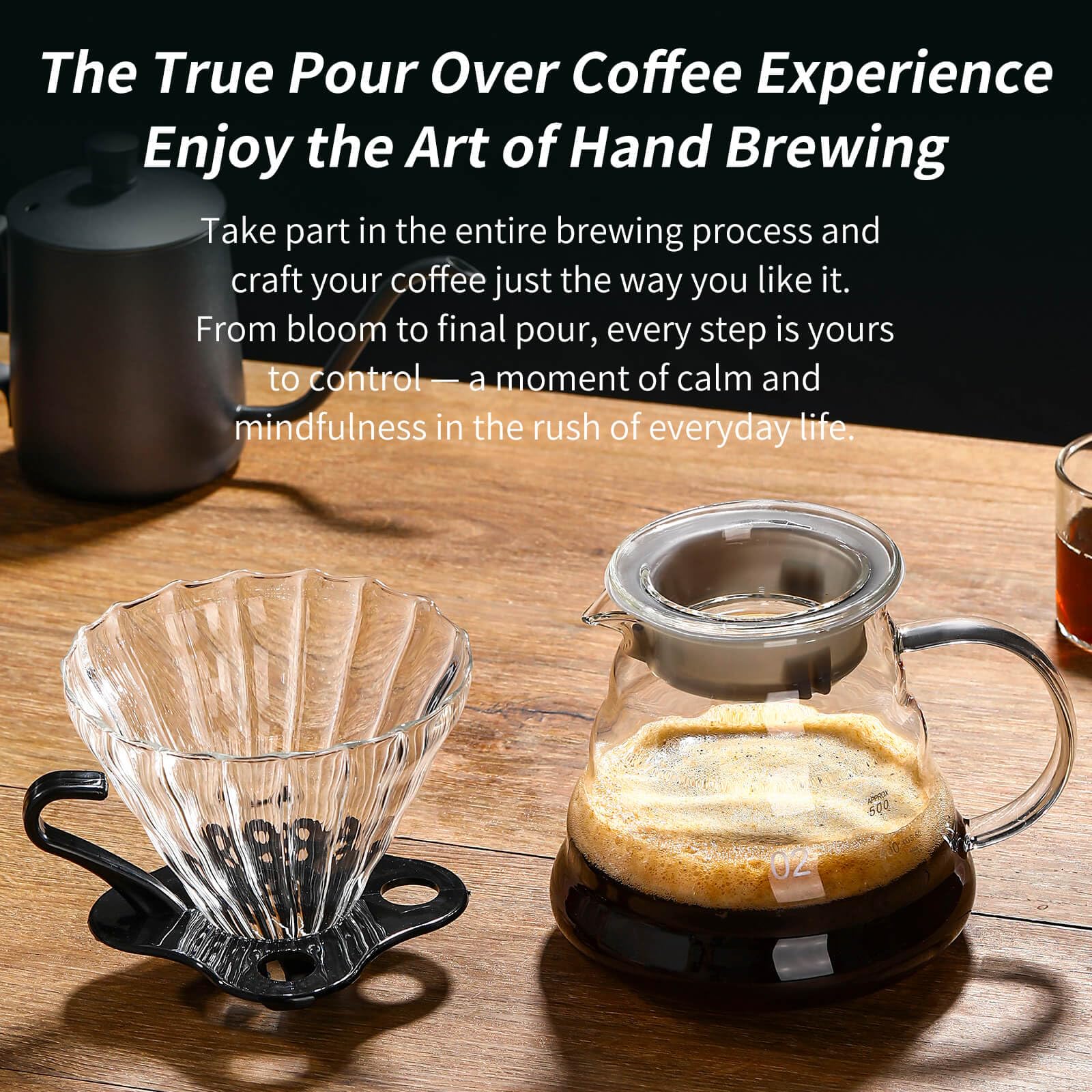 Glass Coffee Pot and Funnel Ha - Coffee Extraction Equipment 评论和价格